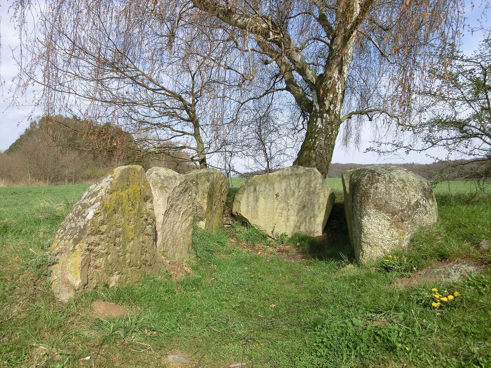 Großsteingrab Lancken-Granitz 2