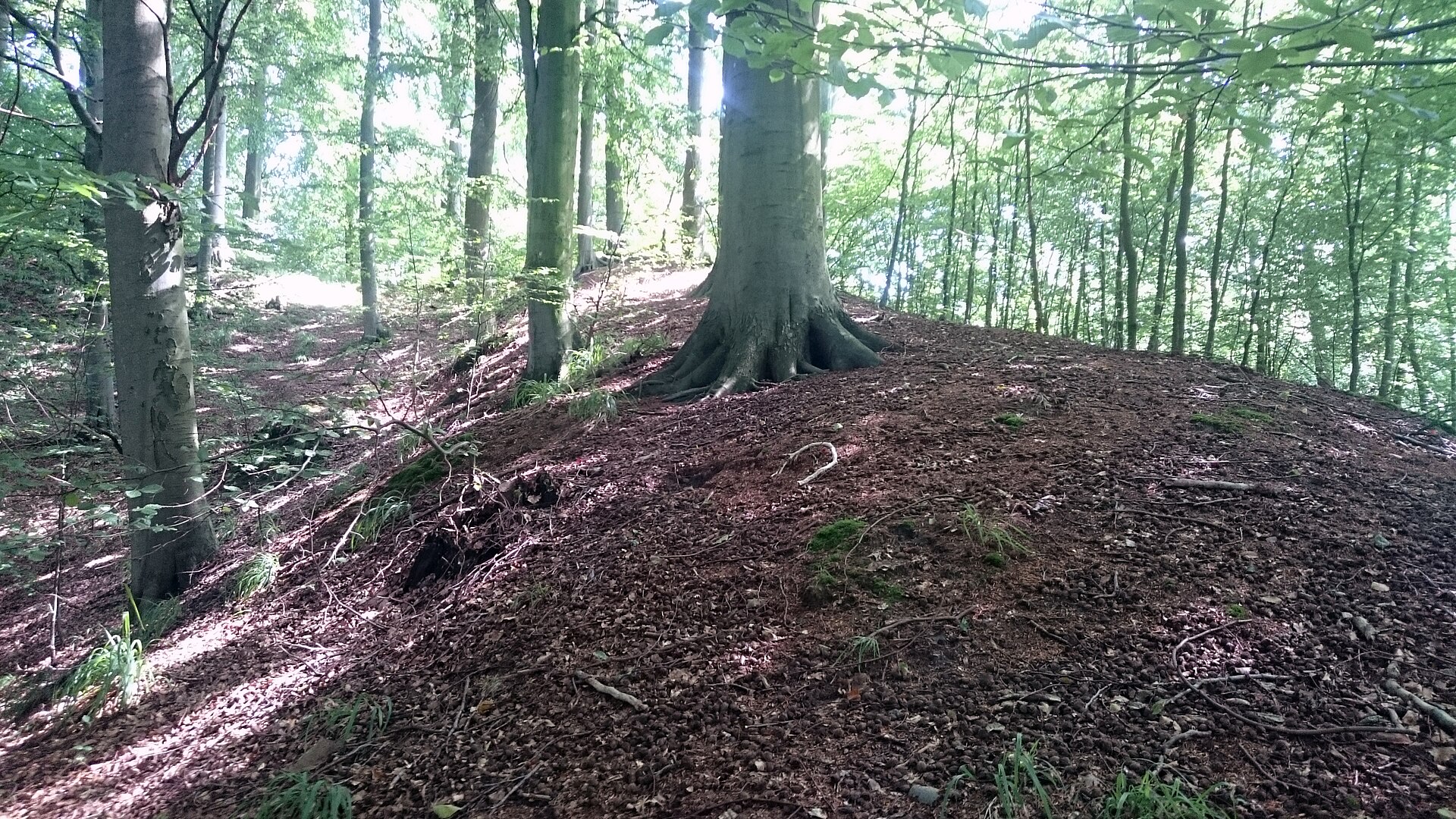 Schanzenberg (Granitz)